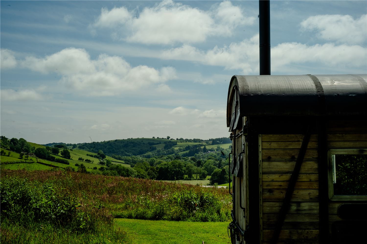 Rewild yourself in a rewilding landscape. Watch nature do its thing