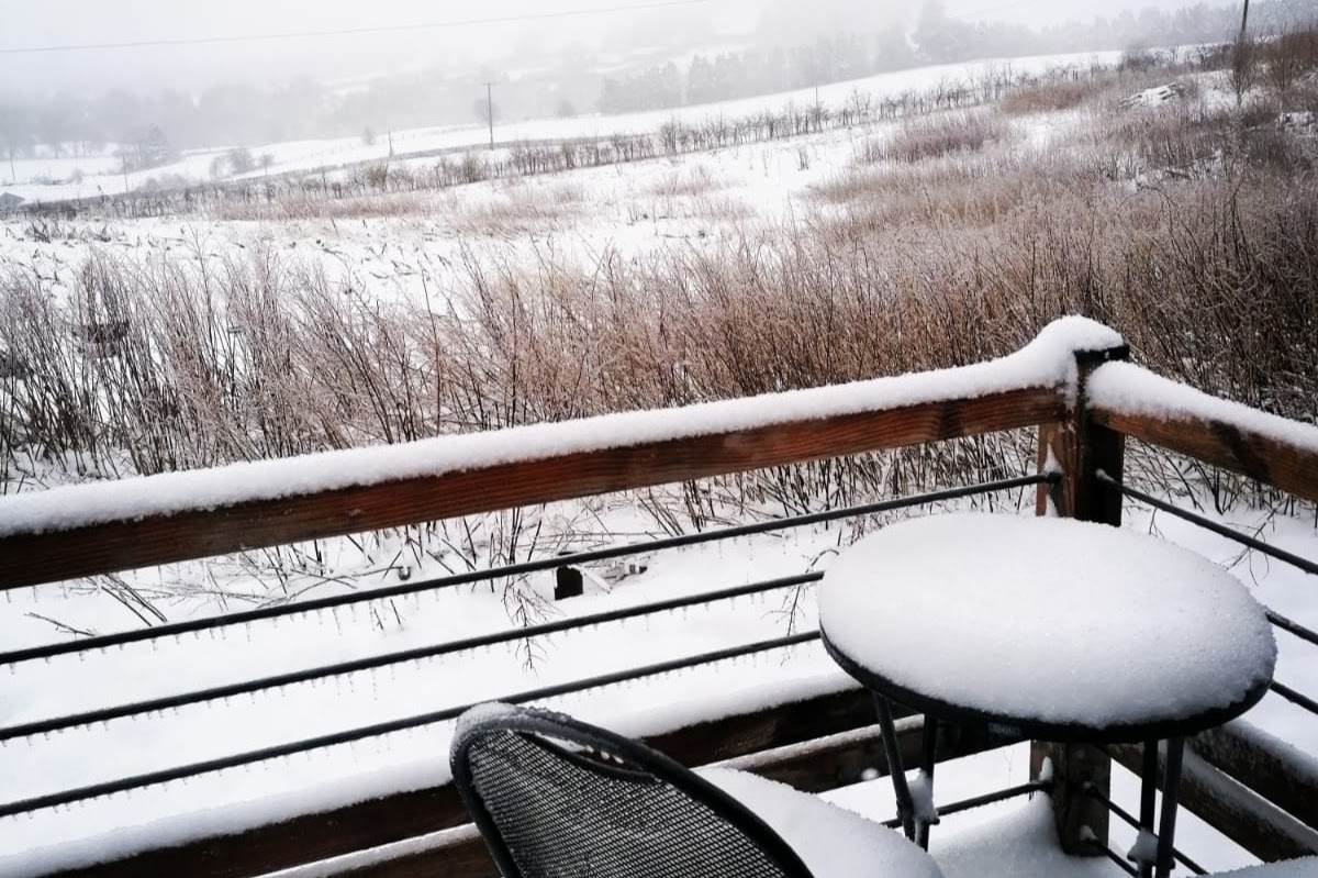 Cosy down, even in the snow!